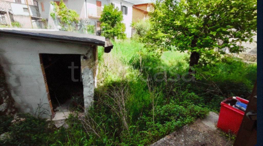 immagine annuncio 6 di 12