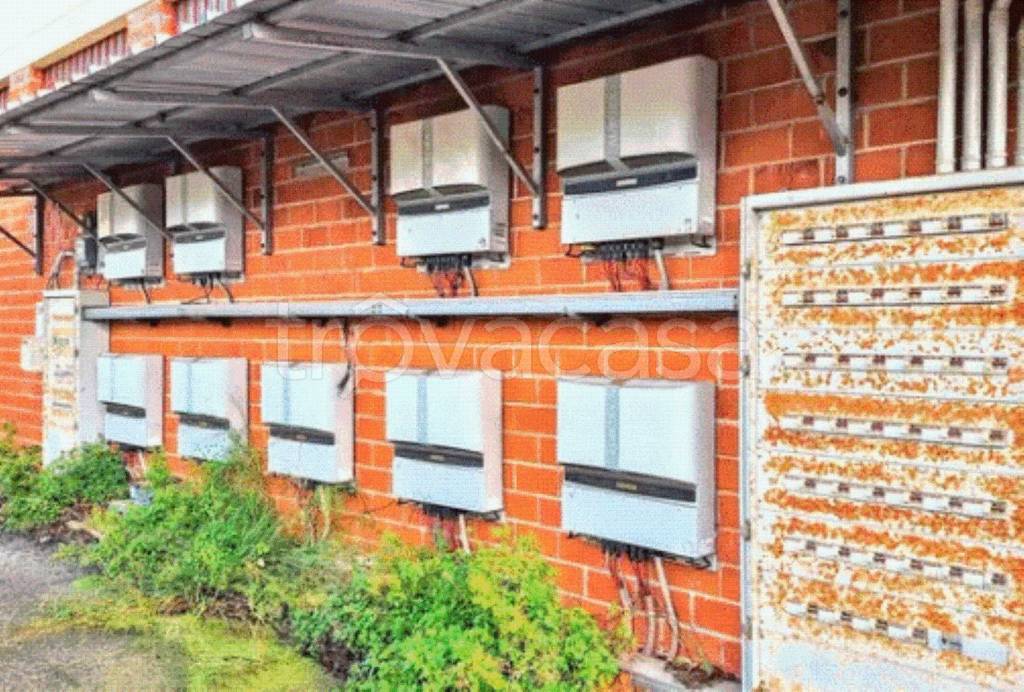 immagine annuncio 5 di 14