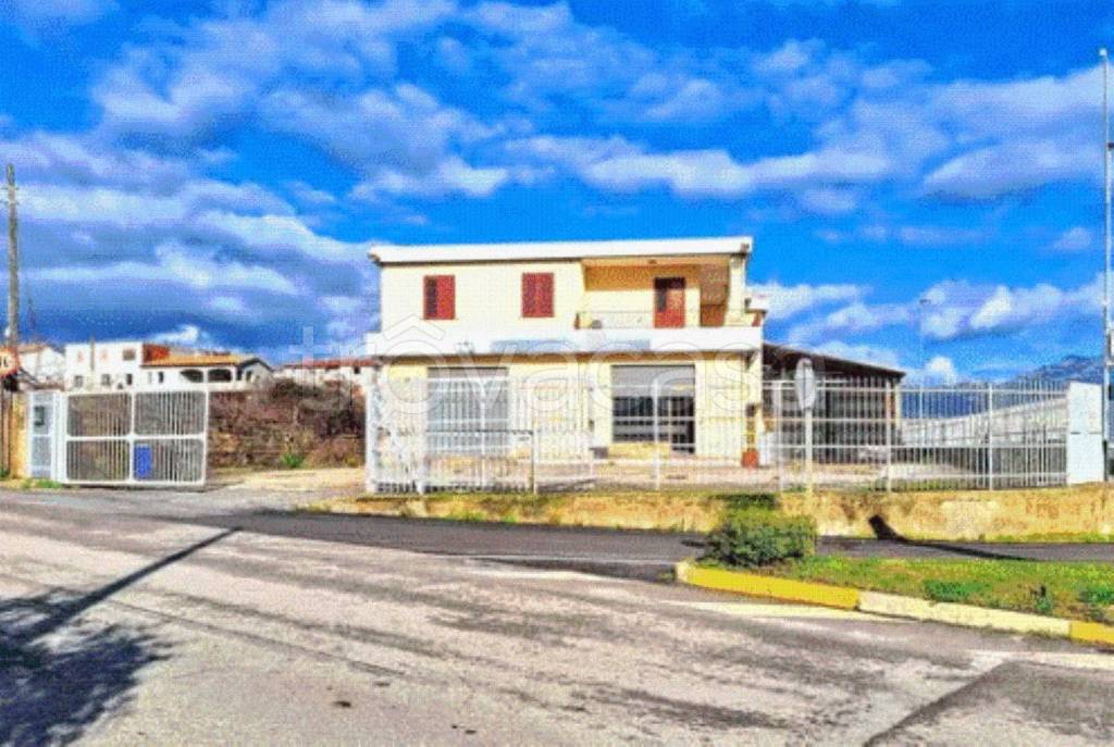 immagine annuncio 11 di 14