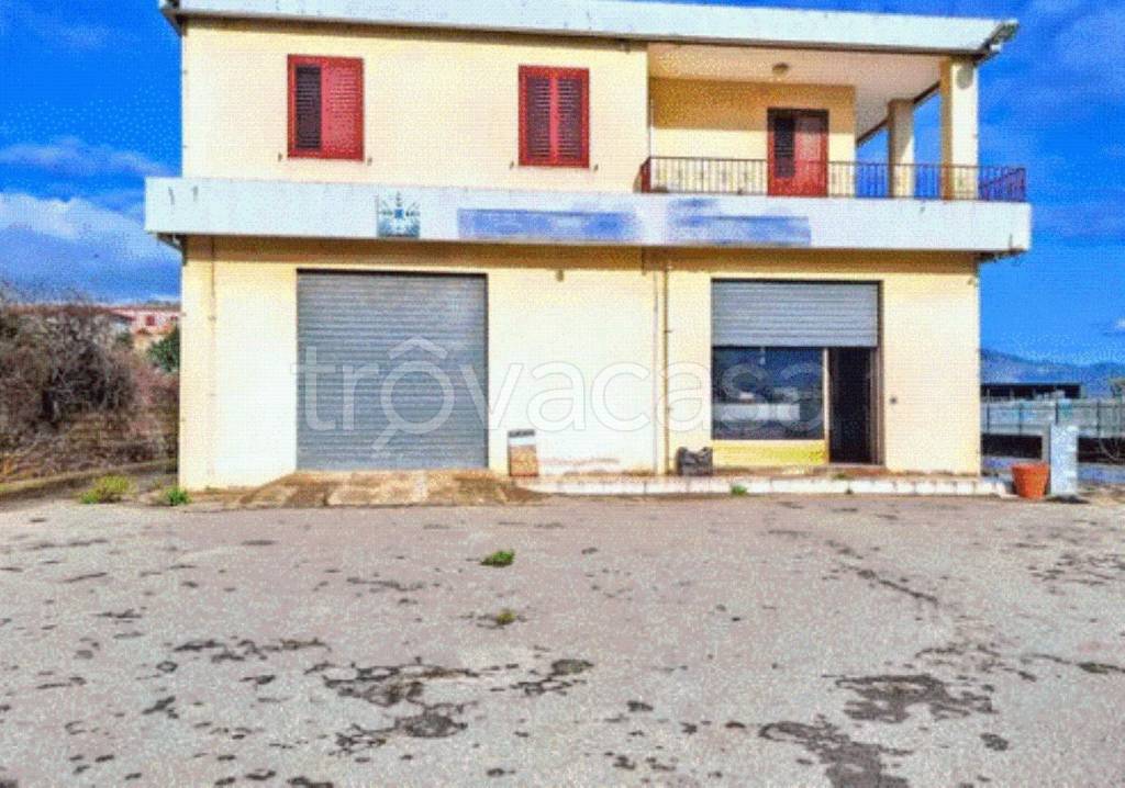 immagine annuncio 12 di 14