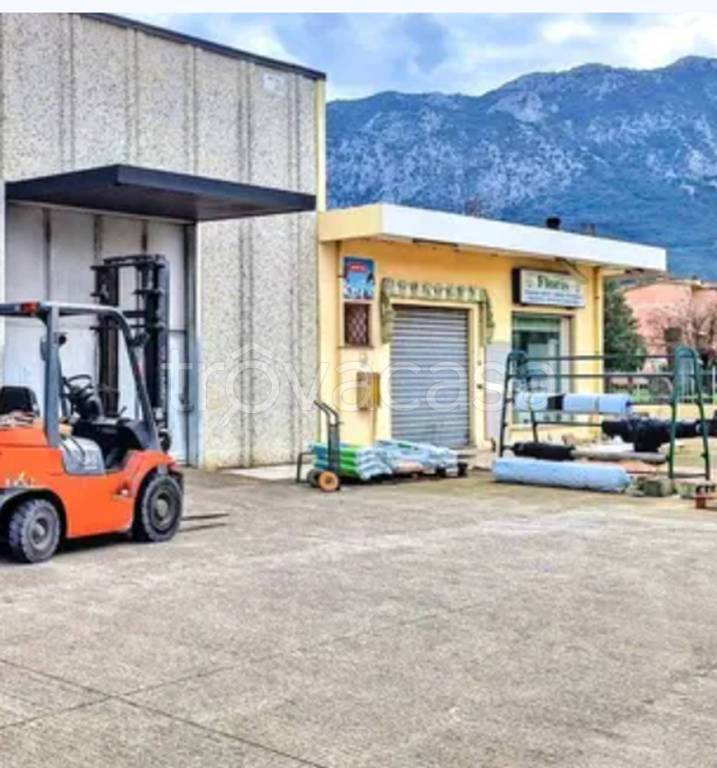 immagine annuncio 3 di 9