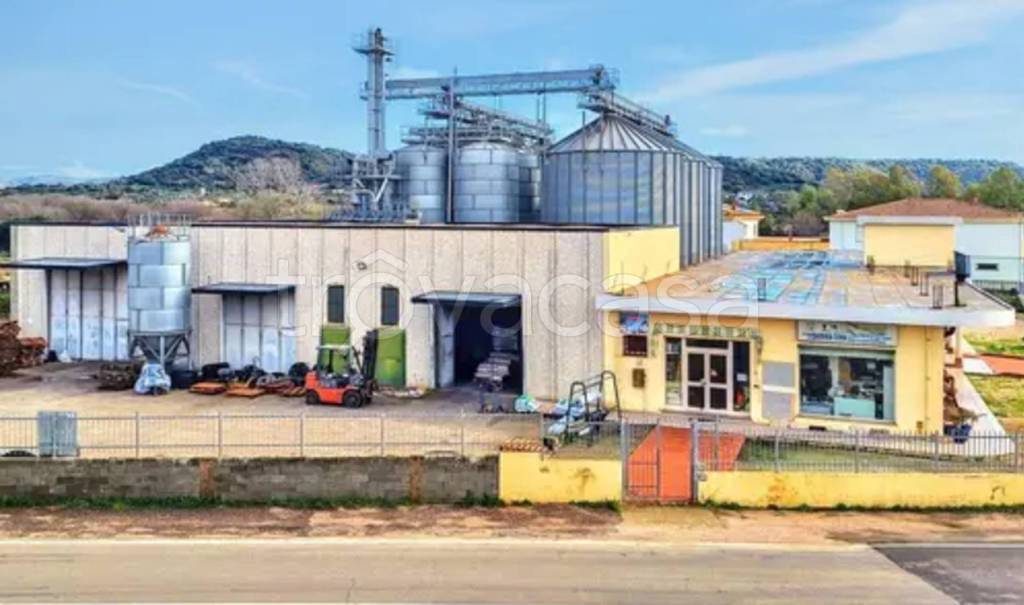 immagine annuncio 5 di 9