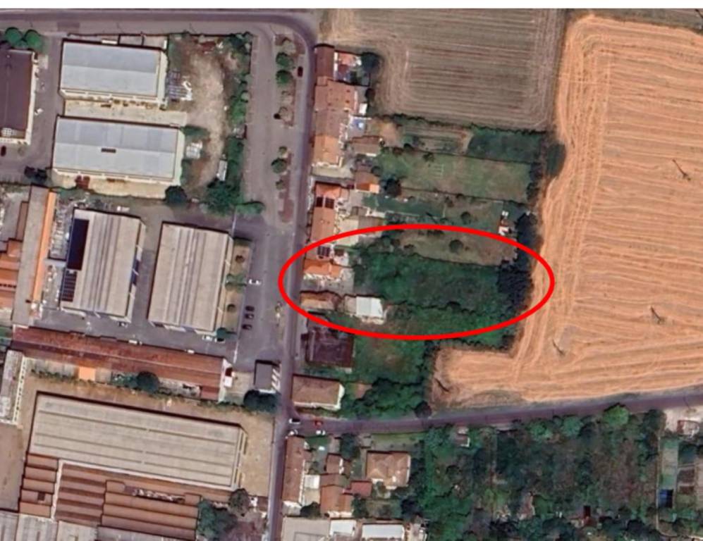 immagine annuncio 2 di 12