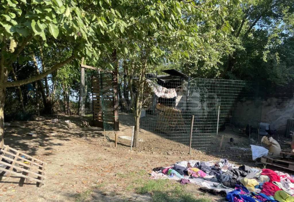 immagine annuncio 1 di 11