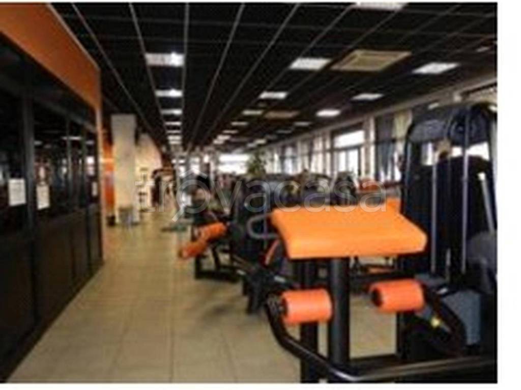 immagine annuncio 1 di 14