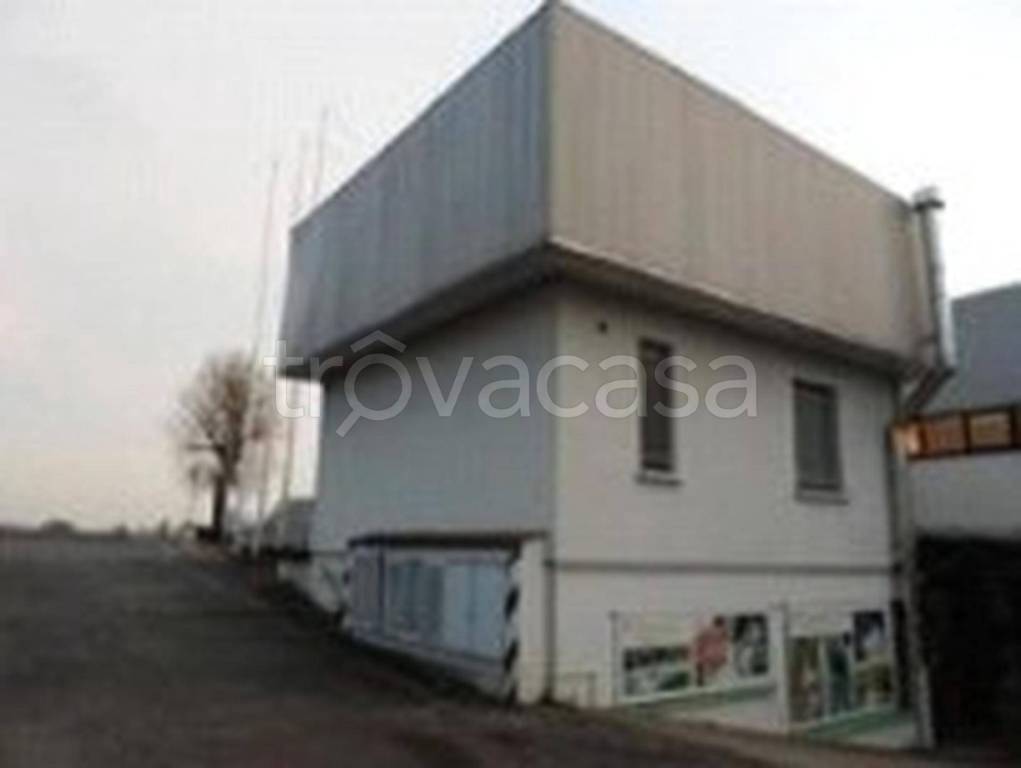 immagine annuncio 2 di 14