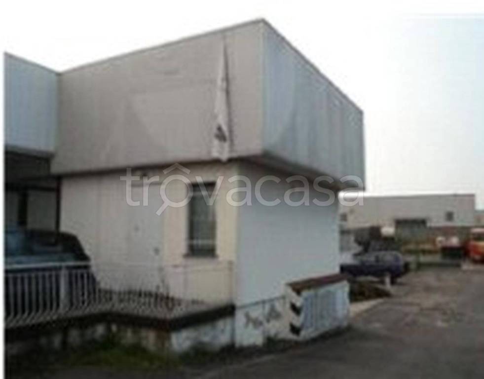 immagine annuncio 3 di 14