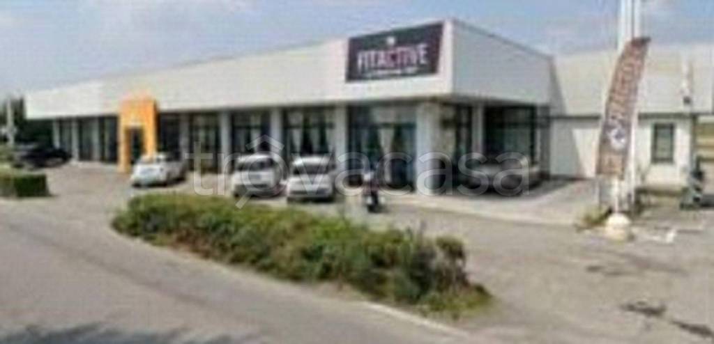 immagine annuncio 4 di 14