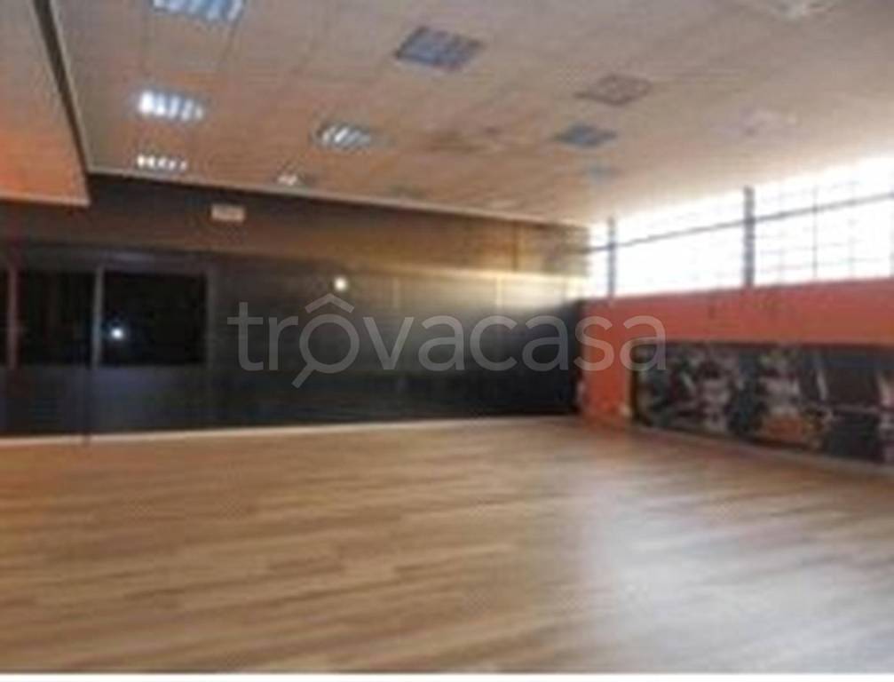 immagine annuncio 11 di 14