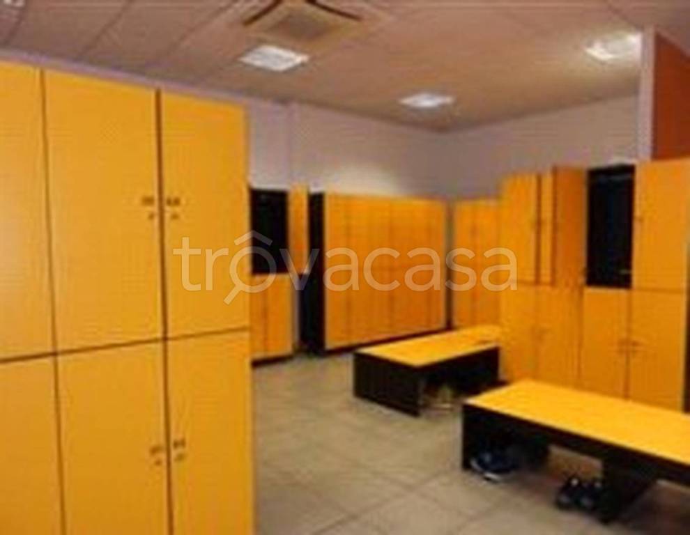 immagine annuncio 12 di 14