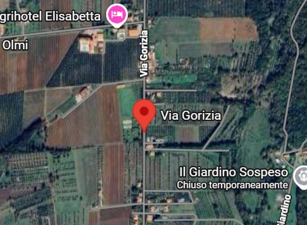 immagine annuncio 6 di 13