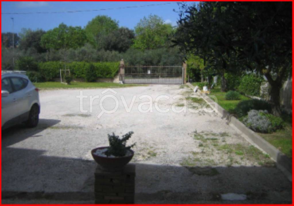 immagine annuncio 6 di 12