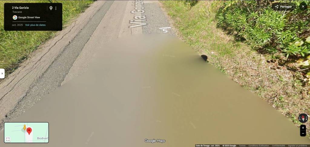 immagine annuncio 3 di 14