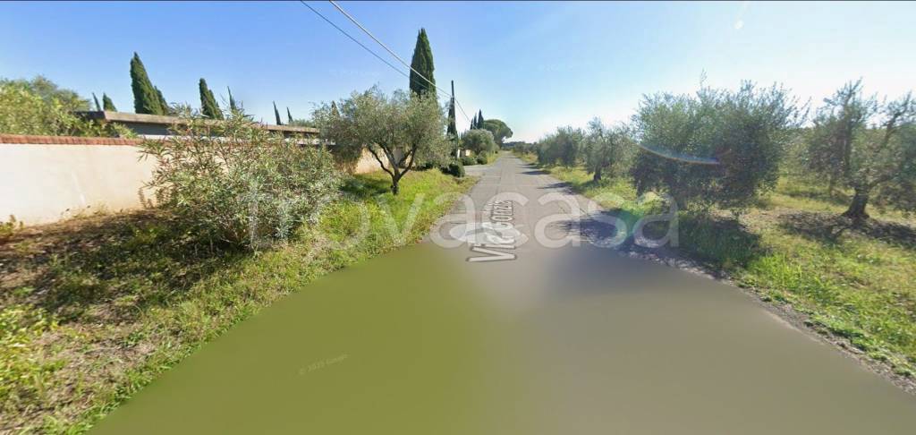 immagine annuncio 4 di 11