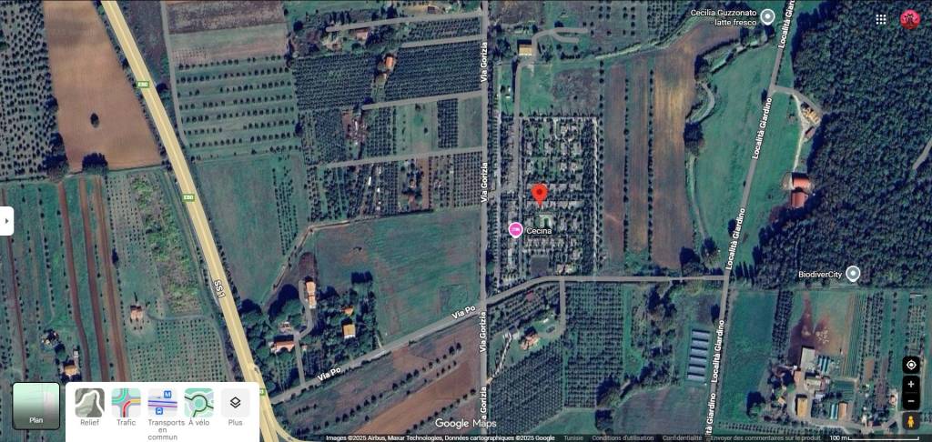 immagine annuncio 9 di 11