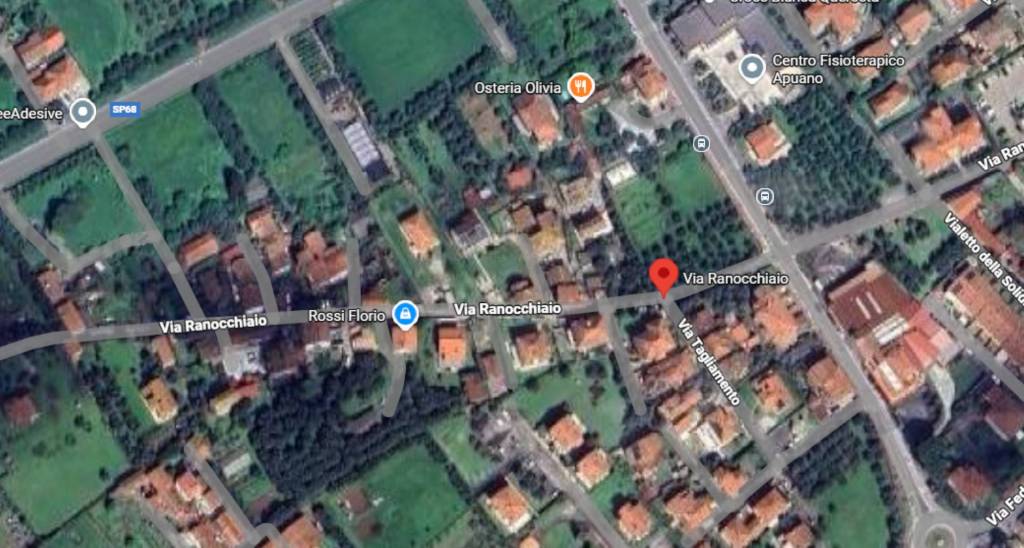 immagine annuncio 2 di 12