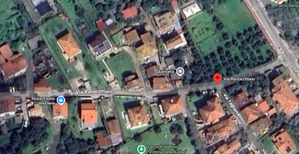 immagine annuncio 3 di 12