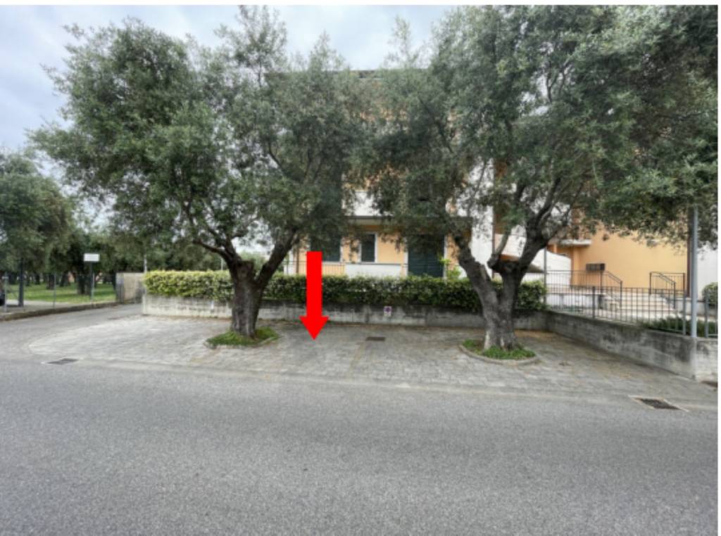 immagine annuncio 5 di 12