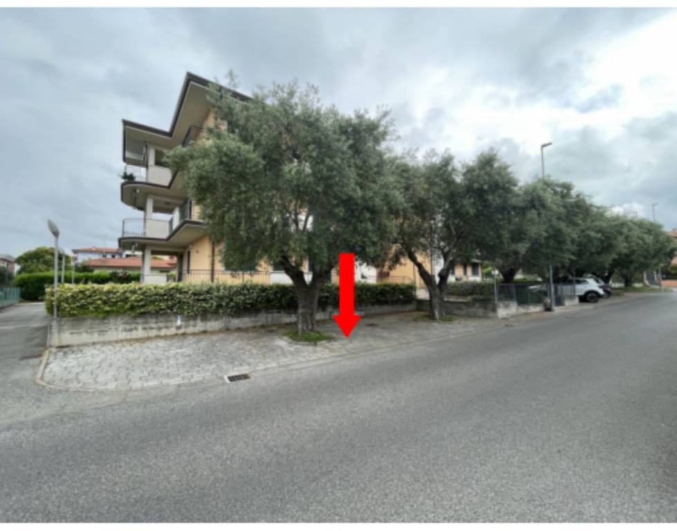 immagine annuncio 6 di 12