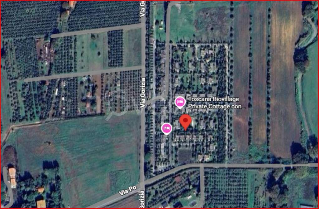 immagine annuncio 11 di 12