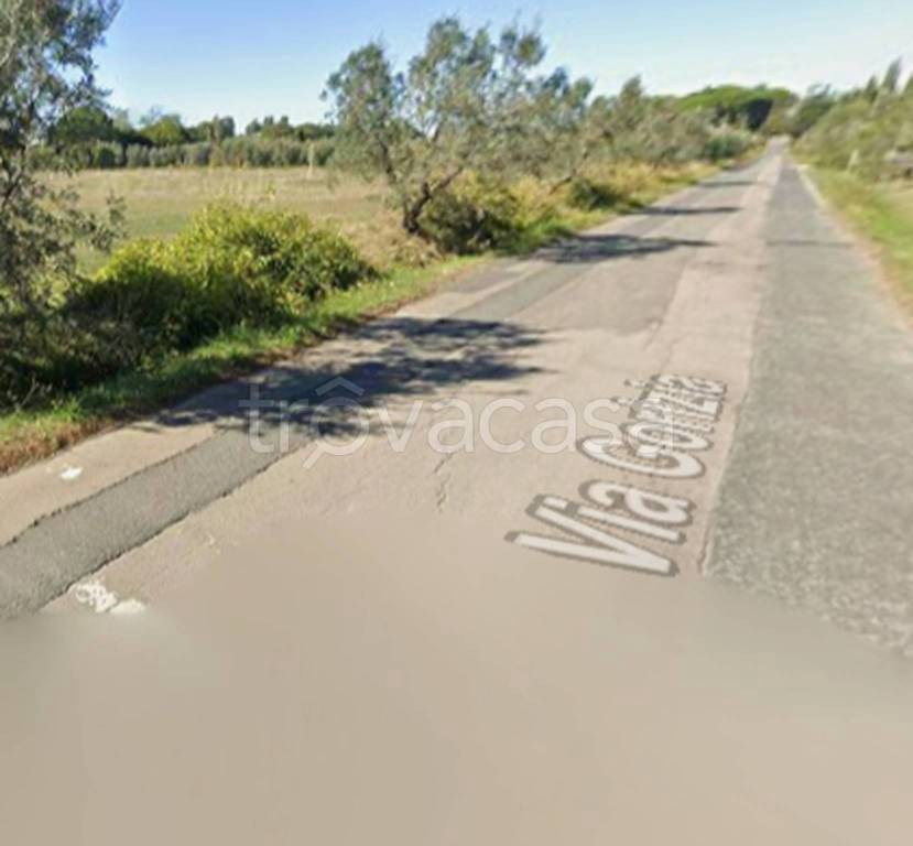 immagine annuncio 4 di 11