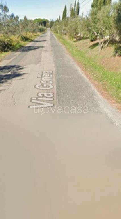 immagine annuncio 6 di 11