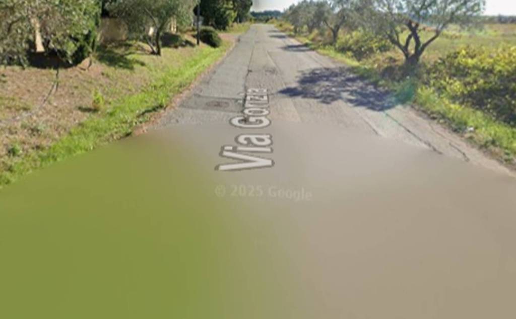 immagine annuncio 10 di 11