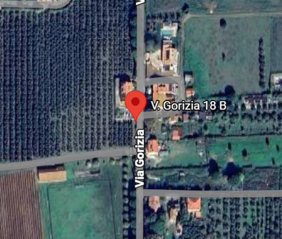 immagine annuncio 7 di 14