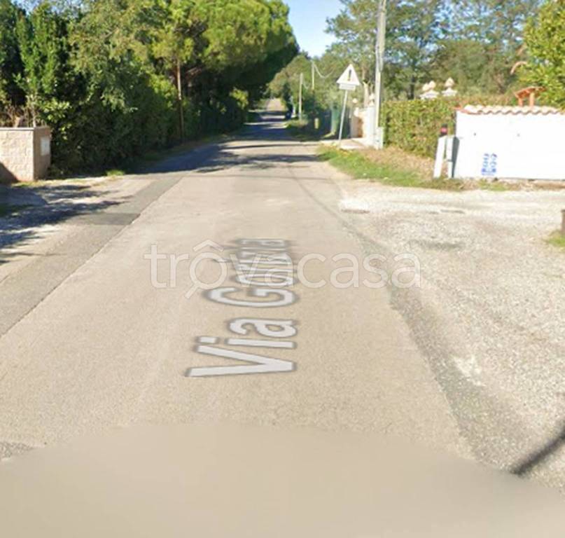 immagine annuncio 12 di 14