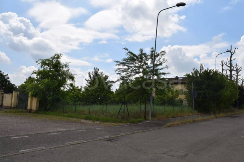 immagine annuncio 3 di 14