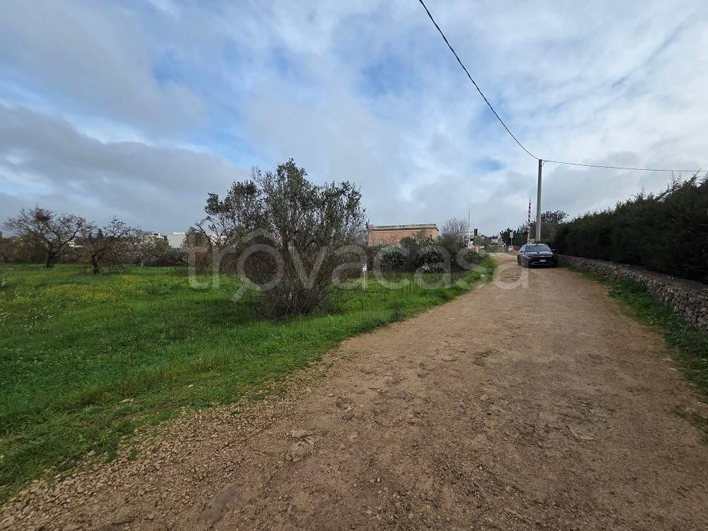 immagine annuncio 2 di 7