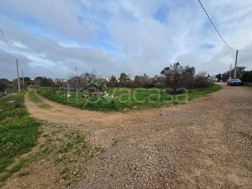 immagine annuncio 3 di 7