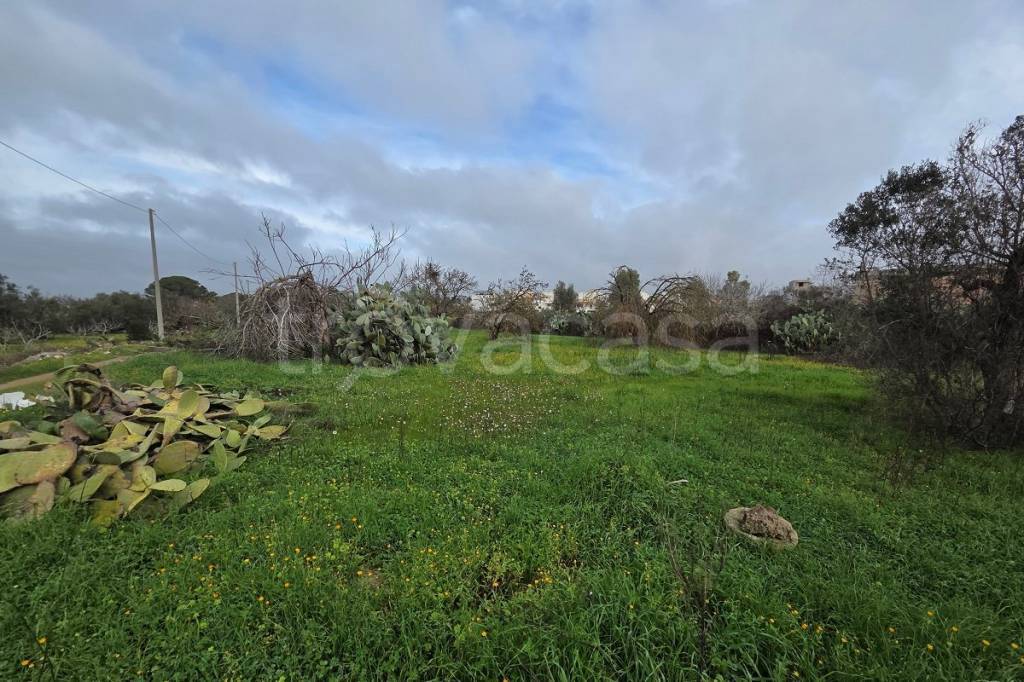 immagine annuncio 4 di 7