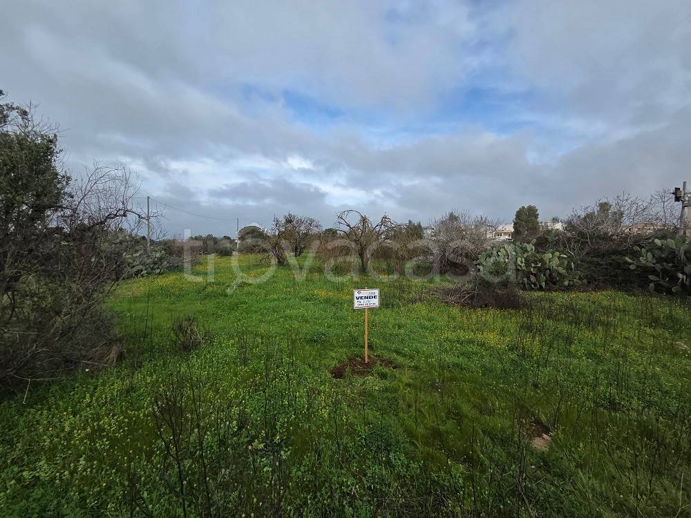 immagine annuncio 5 di 7