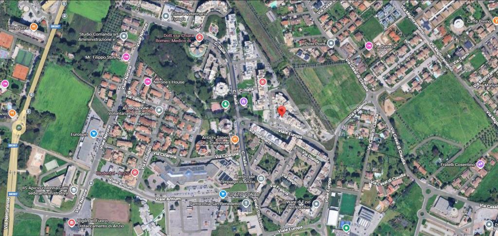 immagine annuncio 12 di 14