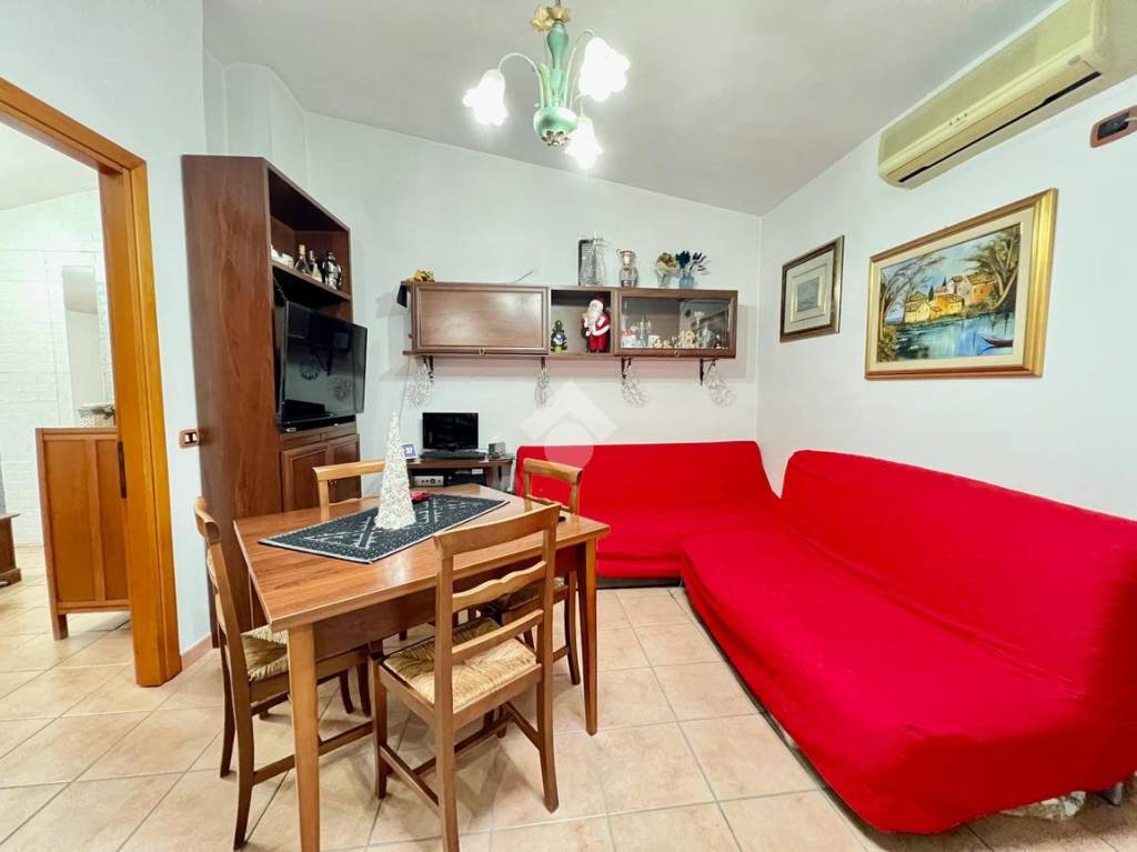 immagine annuncio 2 di 12