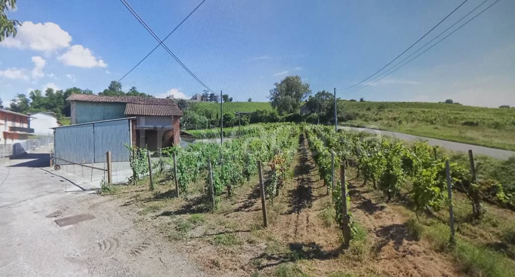 immagine annuncio 1 di 2