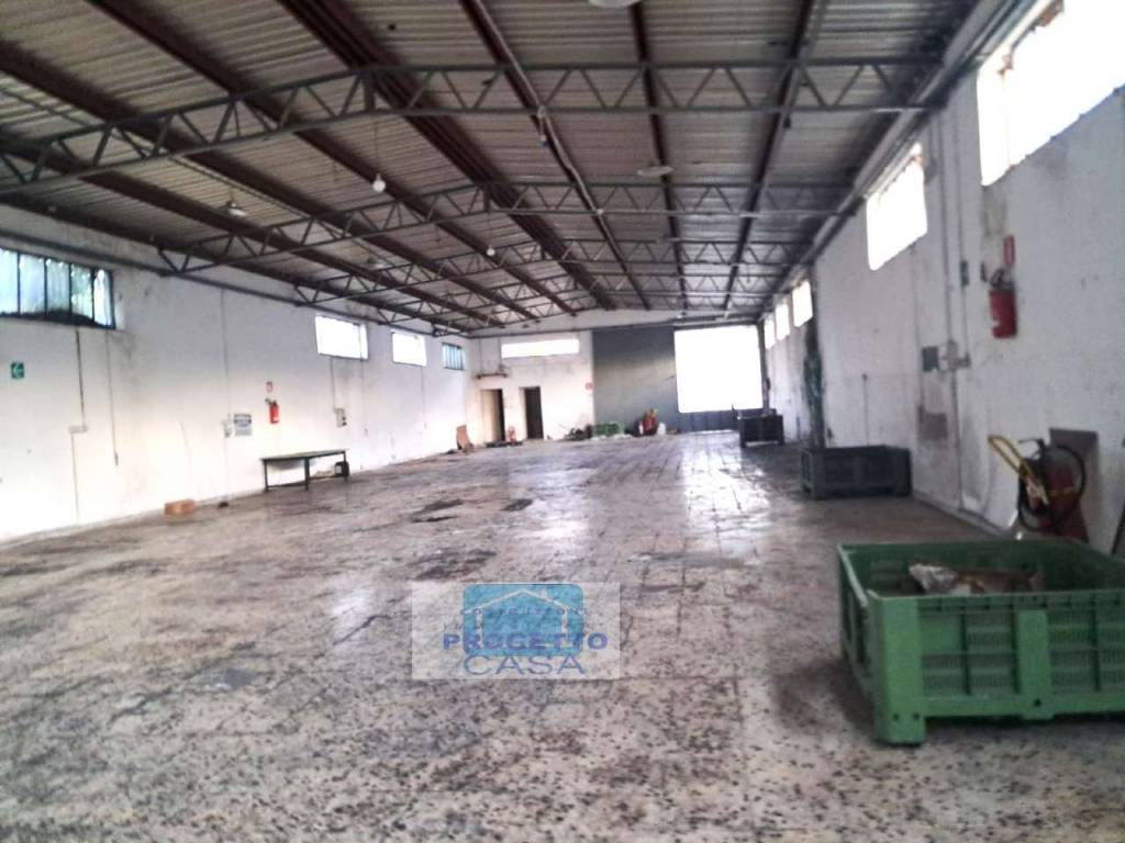 immagine annuncio 9 di 10