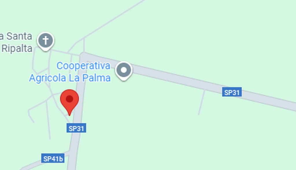 immagine annuncio 10 di 12