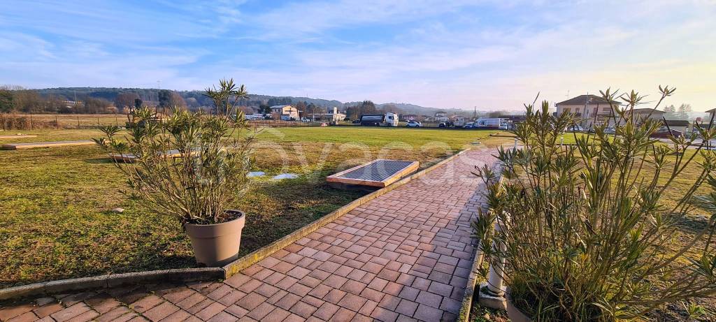 immagine annuncio 11 di 15