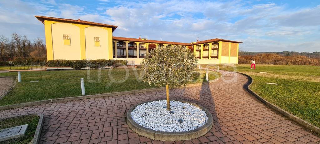 immagine annuncio 2 di 15