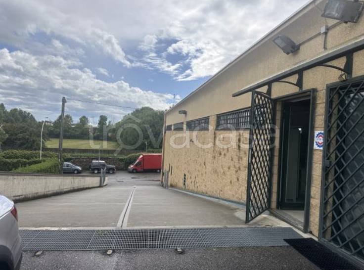 immagine annuncio 1 di 9