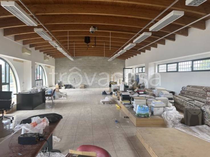 immagine annuncio 4 di 9