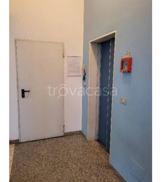 immagine annuncio 5 di 9