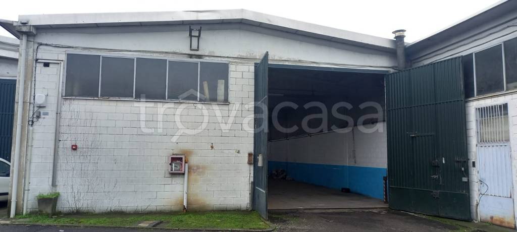 immagine annuncio 2 di 11