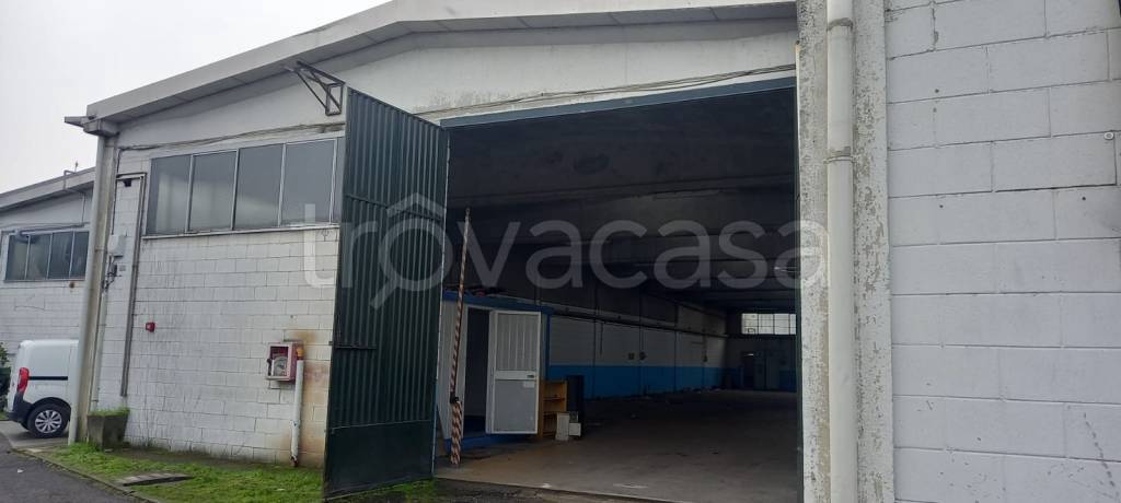 immagine annuncio 3 di 11