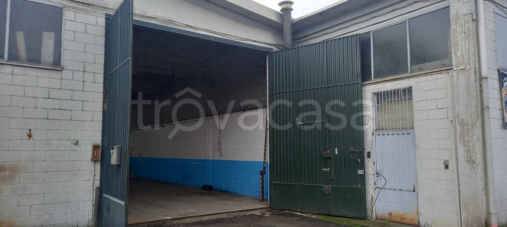 immagine annuncio 4 di 11