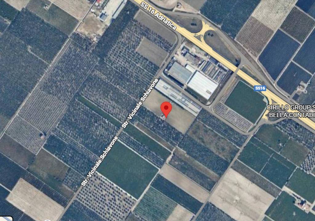 immagine annuncio 5 di 11