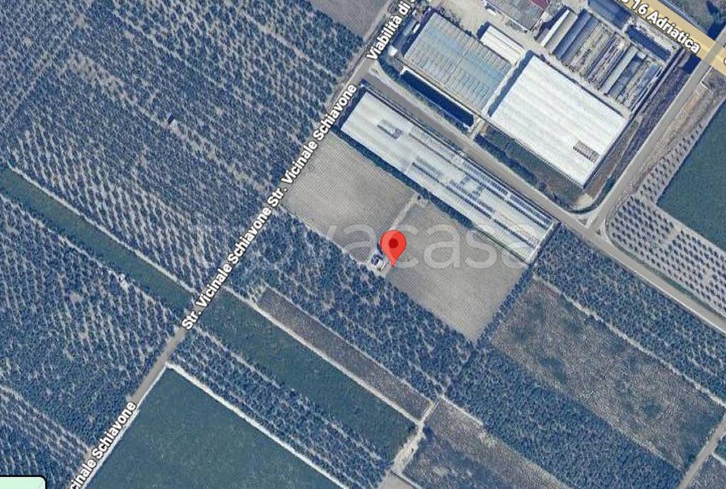 immagine annuncio 6 di 11