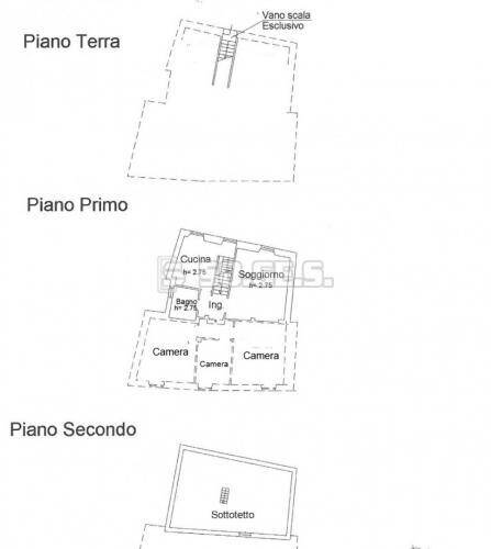 immagine annuncio 10 di 11